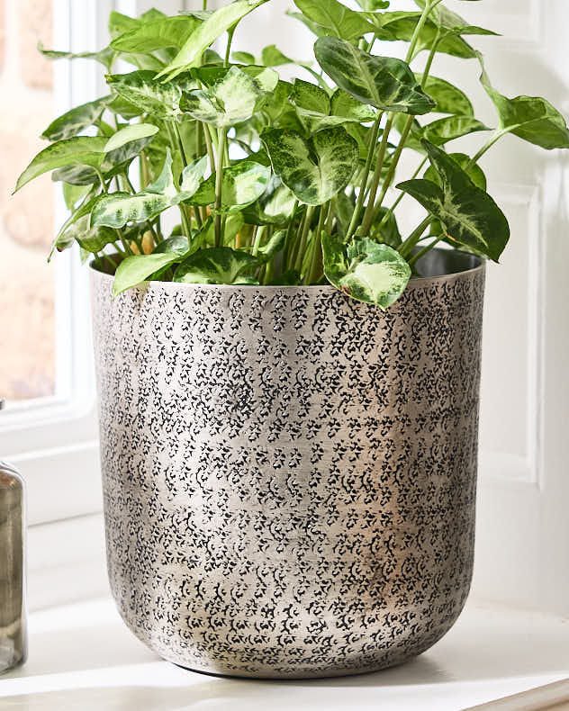 Zaio Hammered Metal Planters - Image 6