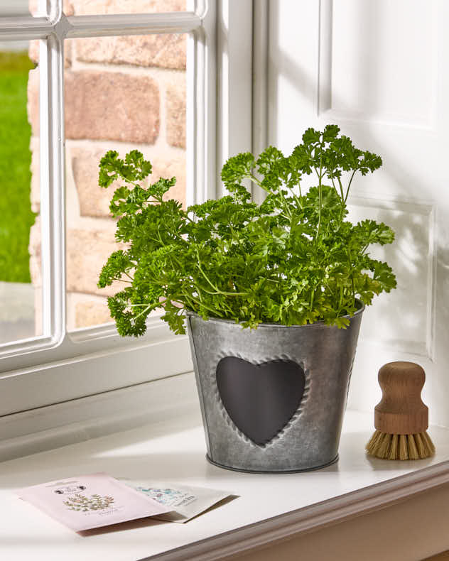 Vintage Zinc Heart Flower Planter - Image 4